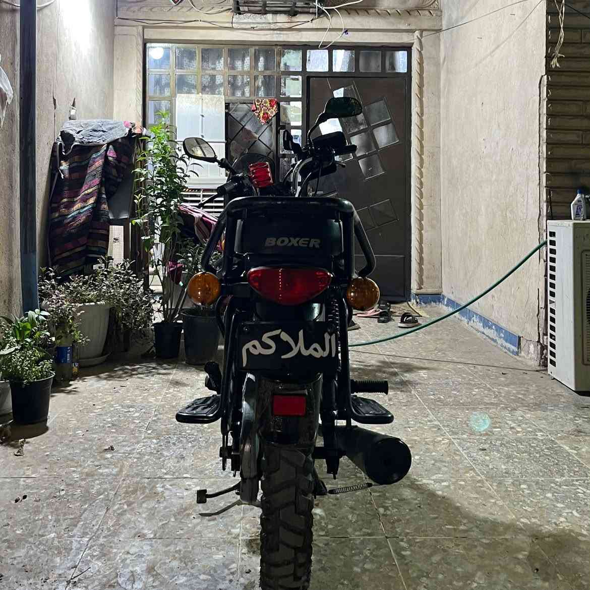 بوكسر جبلي • ٢٠٢٣ • ١١٠٠٠
