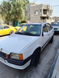كاديت • حجم 16 • سنوية 2026