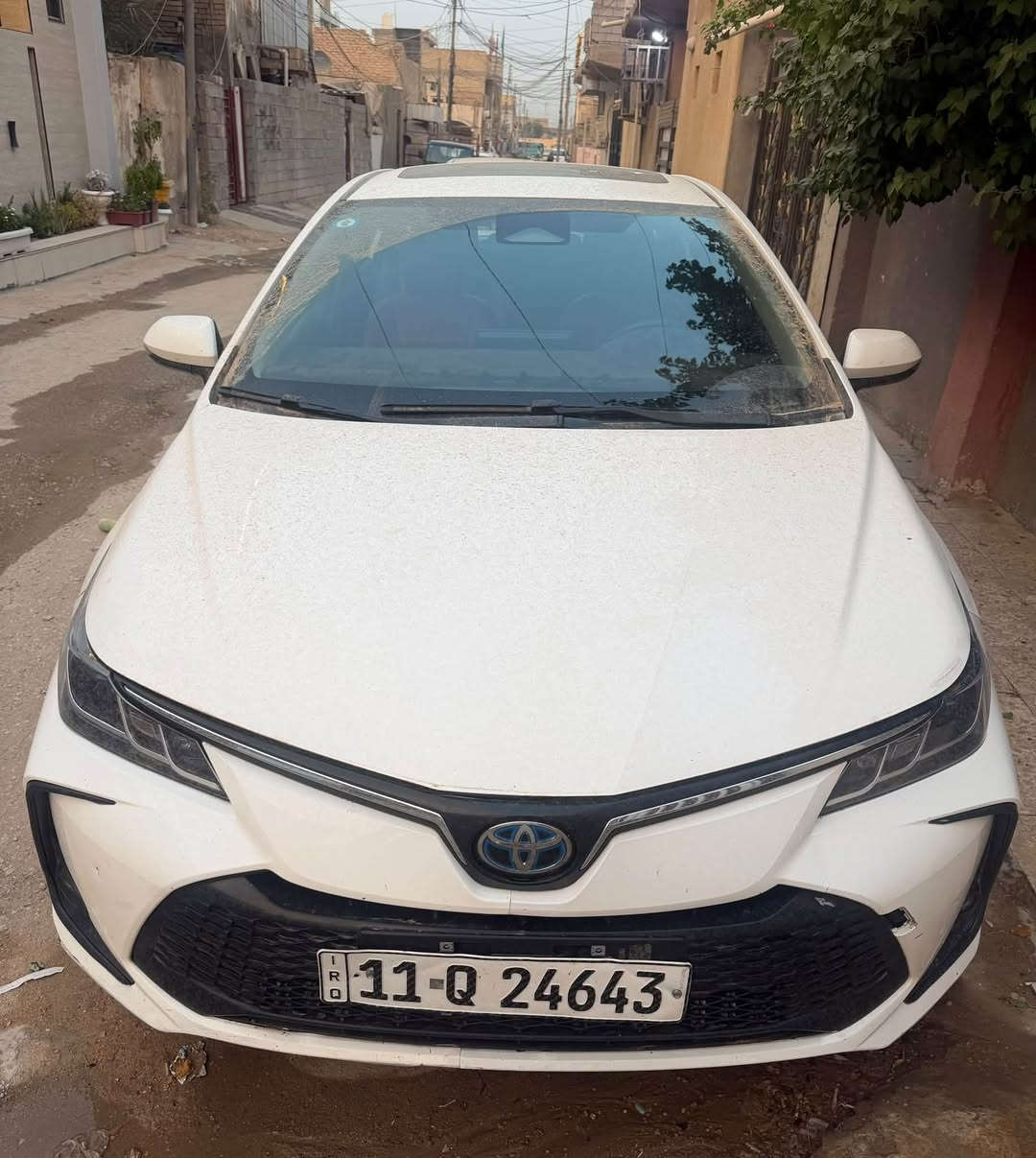 كورلا هايبرد • ٢٠٢٤ • رقم بغداد
