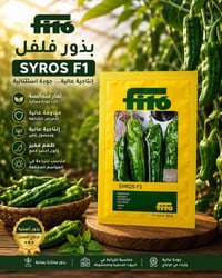 🟡 متوفر الآن لدى مجموعة شركات الريف الزراعية :  🌶فلفل SYROS F1 🌶      ...