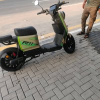 R11 • شحن • تخم جديد
