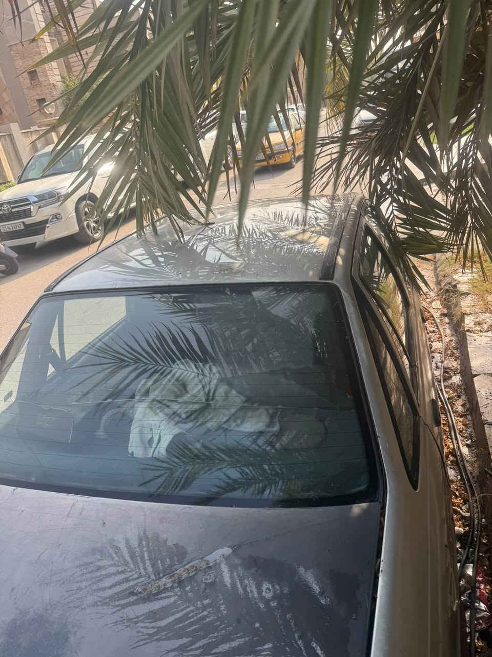 دايو لمنس • مكينه كايمه • رقم بغداد