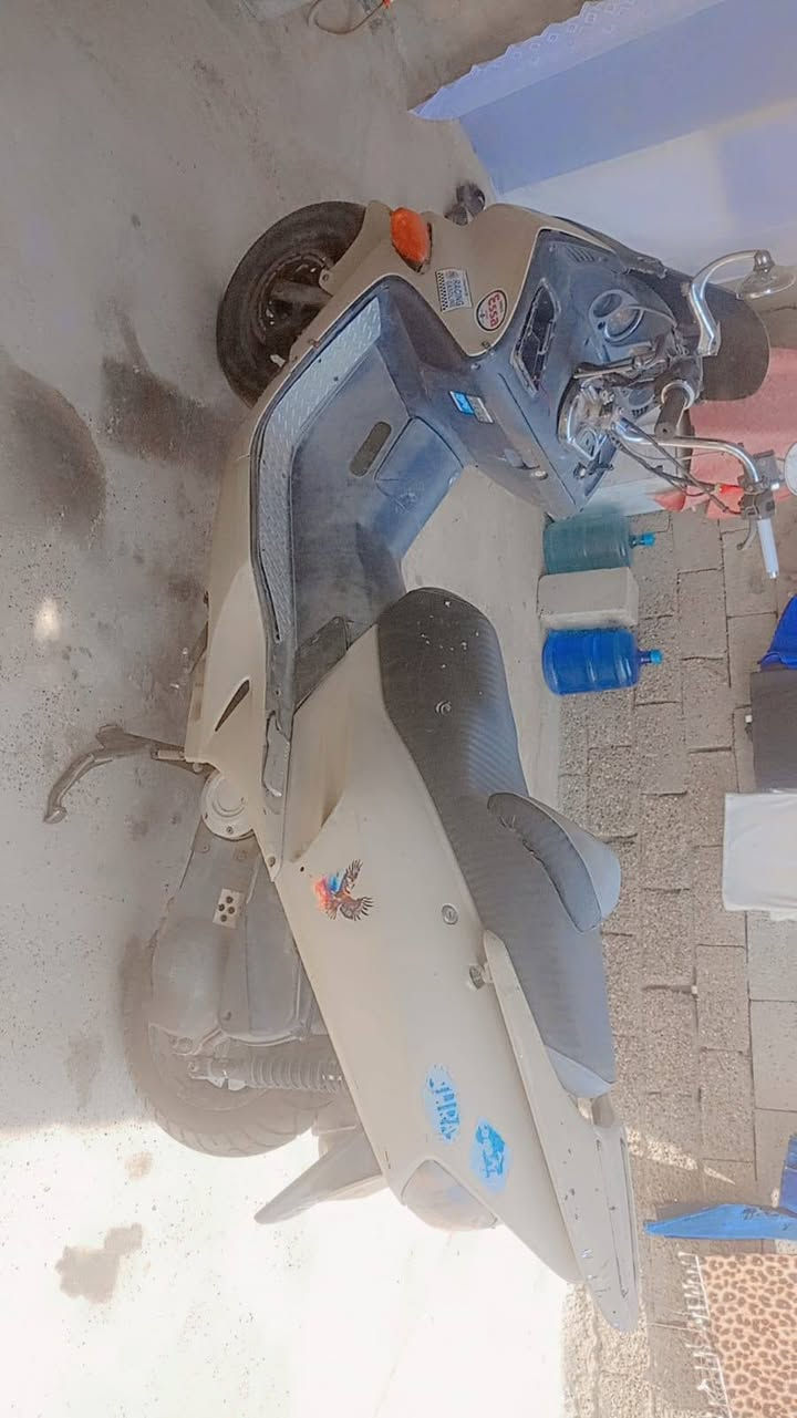 فورزه شغاله مكينه بجيس حماوه ماكو دراجه تخبل بيه نقص كتف شحن وبريك خلفي وجوزه تشغيل سويجه مكسور فقط دراجه الي يريده تفصيخ ابيعله وليريده كامله ابيعه صالنصه رياضي بس الصالنصه 85 الف مخذه دراجه كلش حلوه مكان بغداد او مراوس بيرانيه *********** واتساب

