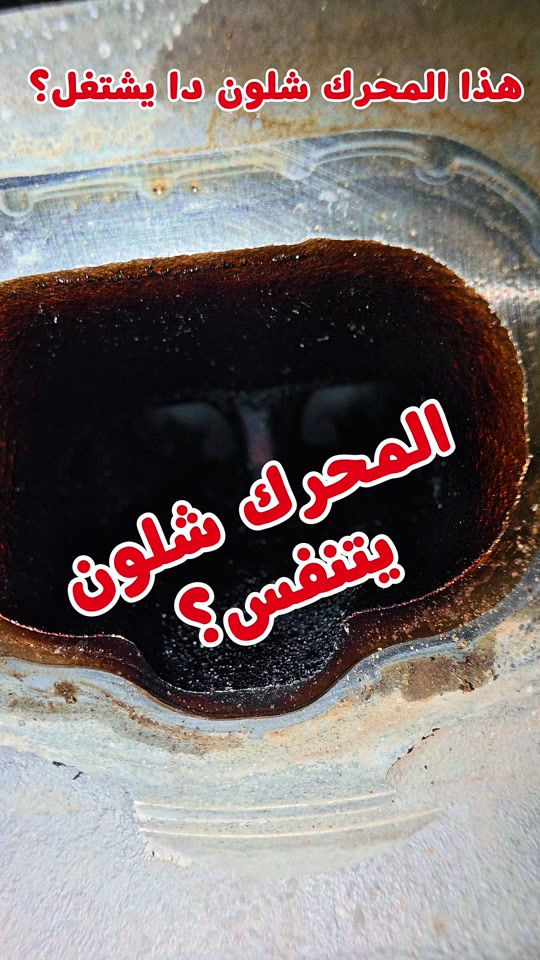 المحرك شلون تريده يشتغل طبيعي بهذا الوضعيه 🔧 ؟ ‎ابو غريب *********** .......................... ‎‏‎‏‎‏‎جميلة  *********** .......................... ‎‏‎‏‎‏‎الغزالية  *********** ......................... ‎‏‎‏‎‏‎‏‎‏‎‏‎الاعظمية  *********** *********** ‎‏‎‏‎‏‎‏‎‏‎‏‎‏‎‏‎‏‎......................... ‎‏‎‏‎‏‎‏‎‏‎‏‎‏‎‏‎‏‎‏‎حي الجهاد  *********** *********** ‎‏‎‏‎......................... ‏‎‏‎‏‎‏‎‏‎‏‎‏‎‏‎‏‎‏‎‏‎‏‎ ‎‏‎‏‎‏‎‏‎‏‎‏‎‏‎‏‎‏‎‏‎‏‎‏‎‏‎‏‎‏‎‏‎المنصور  *********** ........................... ‎‏‎‏‎‏‎‏‎‏‎‏‎‏‎‏‎‏‎‏‎‏‎‏‎‏‎‏‎‏‎‏‎الدورة *********** .......................... ‎‏‎‏‎‏‎‏‎‏‎‏‎‏‎‏‎‏‎‏‎‏‎‏‎‏‎‏‎‏‎‏‎العامرية  *********** *********** ........................... ‎‏‎‏‎‏‎‏‎‏‎‏‎‏‎‏‎‏‎‏‎‏‎‏‎‏‎‏‎‏‎‏‎حي الاعلام   *********** ........................... ‎‏‎‏‎‏‎‏‎‏‎‏‎‏‎‏‎‏‎‏‎‏‎‏‎‏‎‏‎‏‎‏‎ شارع فلسطين  *********** *********** .......................... ‎‏‎‏‎‏‎‏‎‏‎‏‎‏‎‏‎‏‎‏‎‏‎‏‎‏‎‏‎‏‎‏‎بسماية  *********** .......................... ‎‏‎‏‎‏‎الطالبية  *********** *********** .......................... ‎‏‎‏‎‏‎‏‎‏‎‏‎‏‎‏‎‏‎‏‎‏‎‏‎‏‎‏‎‏‎‏‎الكرادة *********** *********** .......................... ‎‏‎‏‎‏‎‏‎‏‎‏‎‏‎‏‎‏‎‏‎‏‎‏‎‏‎‏‎‏‎‏‎نفق الشرطه  ***********  *********** .......................... ‎‏‎‏‎‏‎‏‎‏‎‏‎‏‎‏‎‏‎‏‎‏‎‏‎‏‎‏‎‏‎‏‎الفلوجة *********** *********** .......................... ‎‏‎‏‎‏‎‏‎‏‎‏‎‏‎‏‎‏‎‏‎‏‎‏‎‏‎‏‎‏‎‏‎كركوك 1 *********** ‎‏‎‏‎***********‏‎‏‎‏‎‏‎‏‎‏‎‏‎‏‎‏‎‏‎‏‎‏‎‏‎‏ ‎‏‎‏‎‏‎‏‎‏‎‏‎‏‎‏‎‏‎‏‎‏‎‏‎‏‎‏‎‏‎‏‎كركوك 2    *********** .......................... ‎‏‎‏‎‏‎‏‎‏‎‏‎‏‎‏‎‏‎‏‎‏‎‏‎‏‎‏‎‏‎‏‎الحلة  *********** .......................... ‎‏‎‏‎‏‎‏‎‏‎‏‎‏‎‏‎‏‎‏‎‏‎‏‎‏‎‏‎‏‎‏‎ بعقوبة  *********** ......................... ‎‏‎‏‎‏‎‏‎‏‎‏‎‏‎‏‎‏‎‏‎‏‎‏‎‏‎‏‎‏‎‏‎الموصل ‏‎‏‎‏‎‏‎‏‎‏‎‏‎ ***********  .......................... ‎‏‎‏‎‏‎‏‎‏‎‏‎‏‎‏‎‏‎‏‎‏‎‏‎‏‎‏‎‏‎‏‎اربيل  *********** ......................... ‎‏‎‏‎‏‎‏‎‏‎‏‎‏‎‏‎‏‎‏‎‏‎‏‎‏‎‏‎‏‎‏‎كربلاء  *********** *********** .......................... ‎‏‎‏‎‏‎‏‎‏‎‏‎‏‎‏‎‏‎‏‎‏‎‏‎‏‎‏‎‏‎البصرة *********** *********** ‎‏‎‏‎‏‎‏‎‏‎‏‎‏‎‏‎‏‎‏‎‏‎‏‎‏‎‏‎‏‎‏‎#الحسام_موطن_الزيوت_الاصلية 
