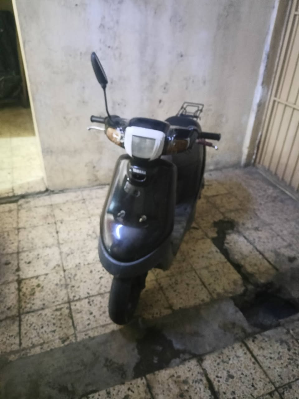 بوتين • نظيف • مستعجل
