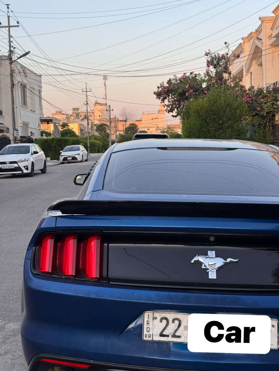 موستانغ V6 • ٢٠١٧ • ٨٠٠٠٠ ميل