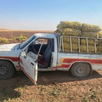 كروسيدا ٨٨ • رقم صلاح الدين • كفالة