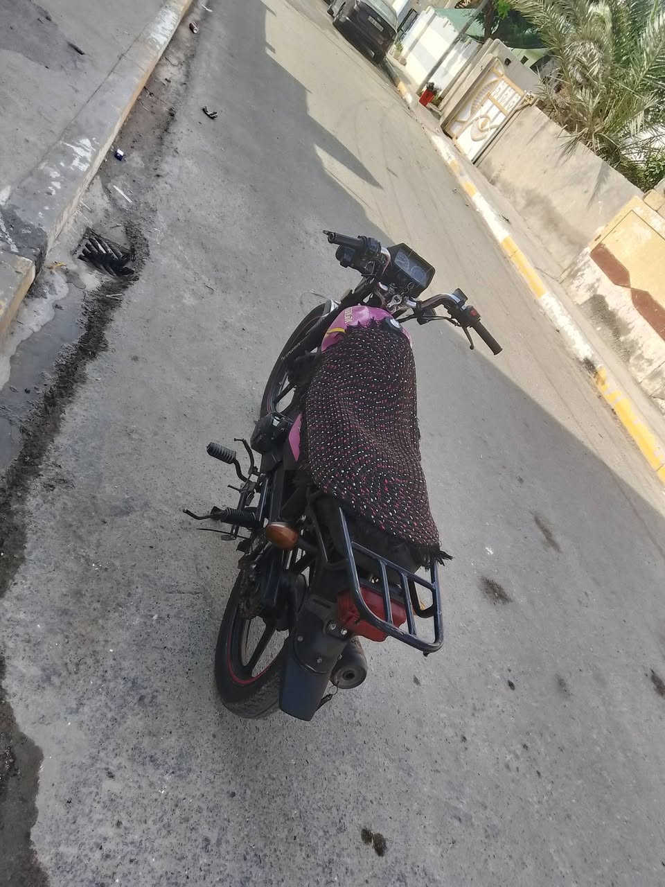 شاينك • ٢٠٢٣ • بدون اوراق