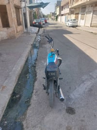 نامه برو • ٢٠١٩ • شاصي مصطرا