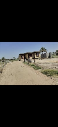 طريق حله نجف • ١٠٠٠م • زراعي