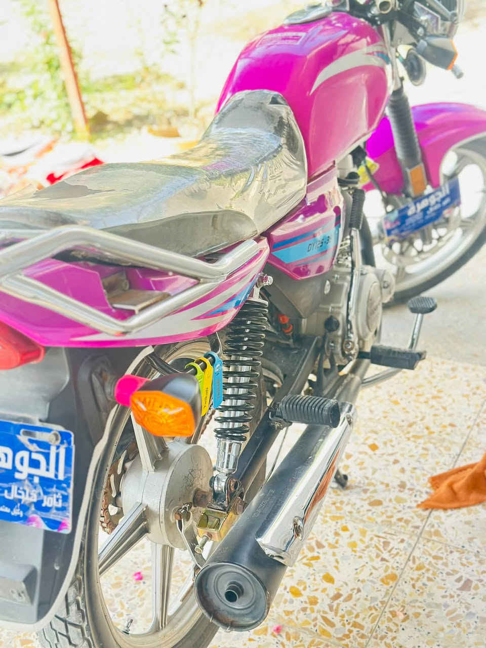 دايون عظم • موديل ٢٠٢٣ • اوراق