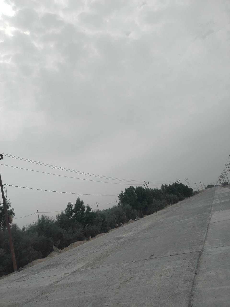 بحر النجف • ٦ دونم • طابو زراعي
