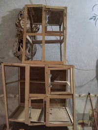 اقفاص • للبيع