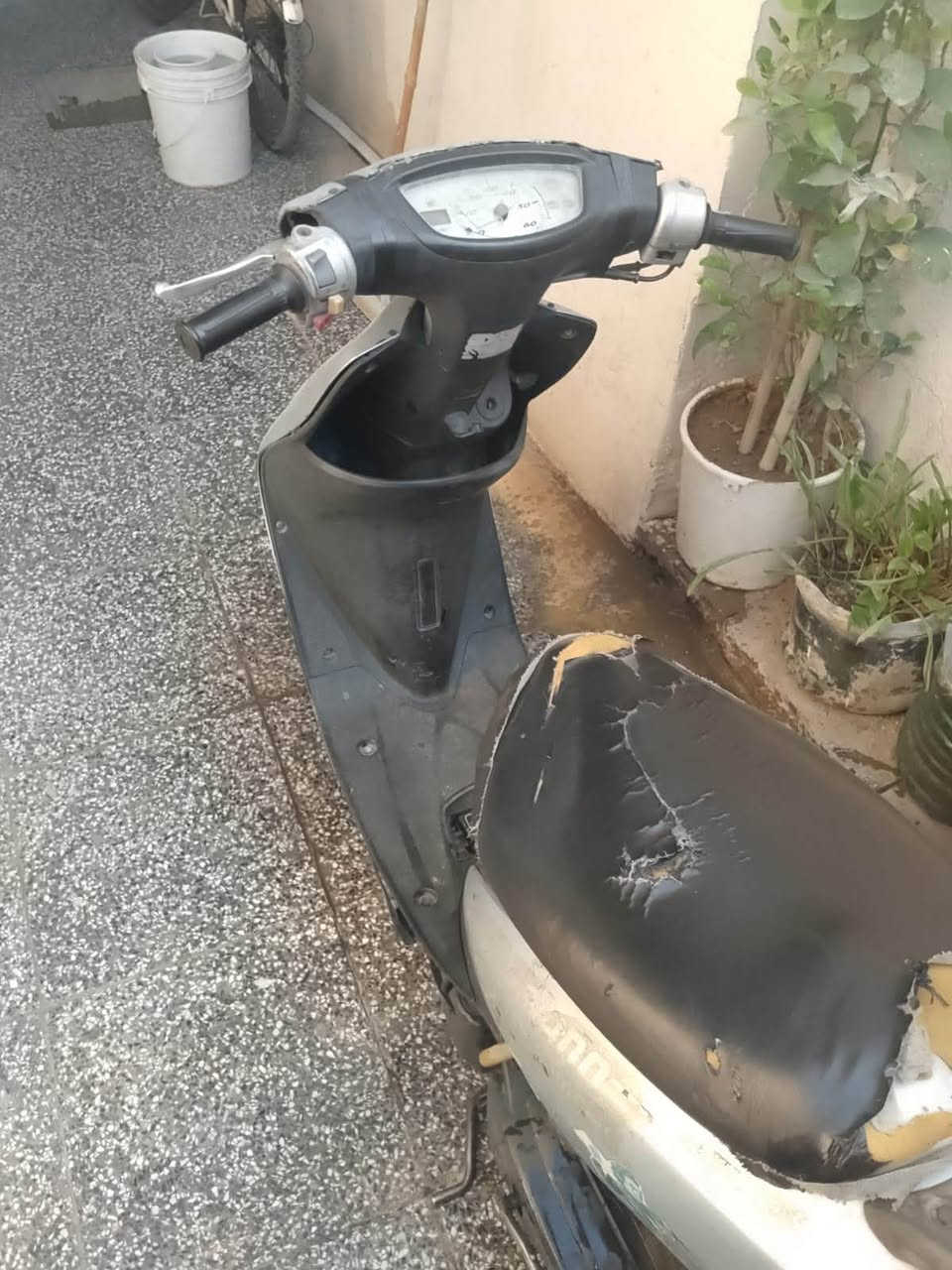 السلام عليكم عصفوريه للبيع بيها محرك يشگ الگاع مكاني بغداد الكرخ 150 الف بيها مجال 
***********
