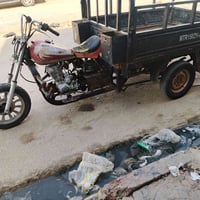 ستوته • للبيع • مجال الشراي