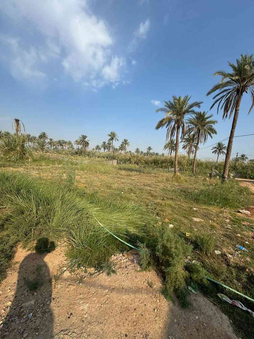 ٤ونص دونم • طابو زراعي سند ٢٥ • طوريج الخيرات