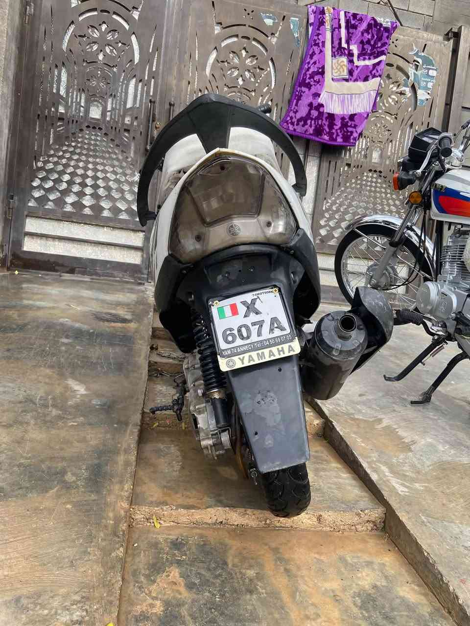 ماكس عدلة • ٤٩ • نقصها شوتة