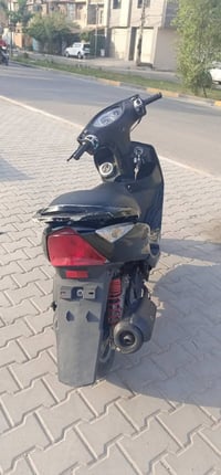 ثعلب • مكفوله • ناعه
