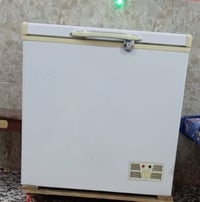 مجمد • زغيره • شغاله