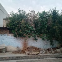 حي عمال • ٢٠٠م • طابو صرف