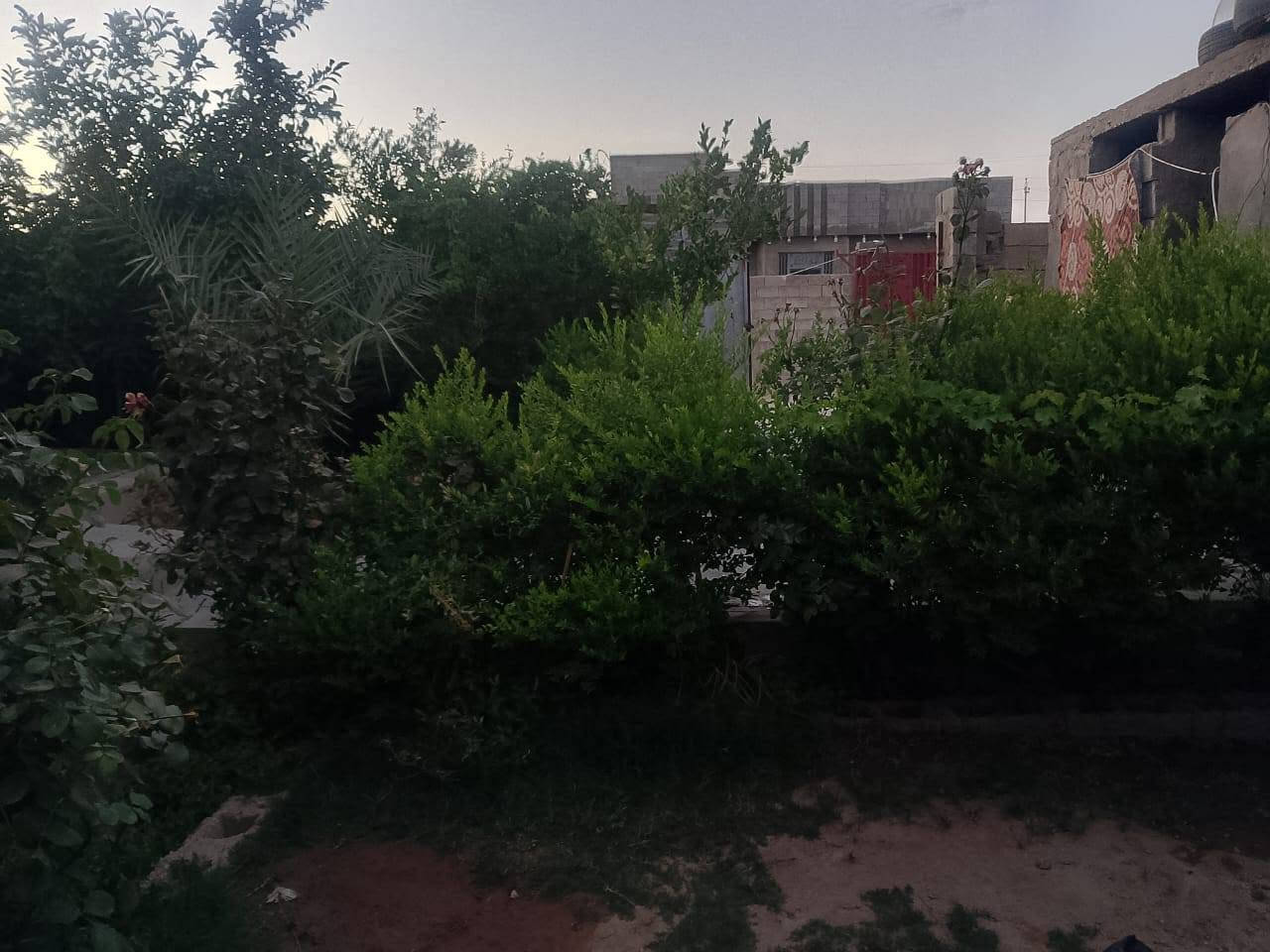السلام عليكم بيت للبيع جاهز للسكن المكان حي الامين قرب مدرسة ابن قدامه ومعمل الازفلت القديم المساحه 400م ركن علا شارعين للاستفسار مراسله على الخاص او الاتصال علا الرقم ***********
