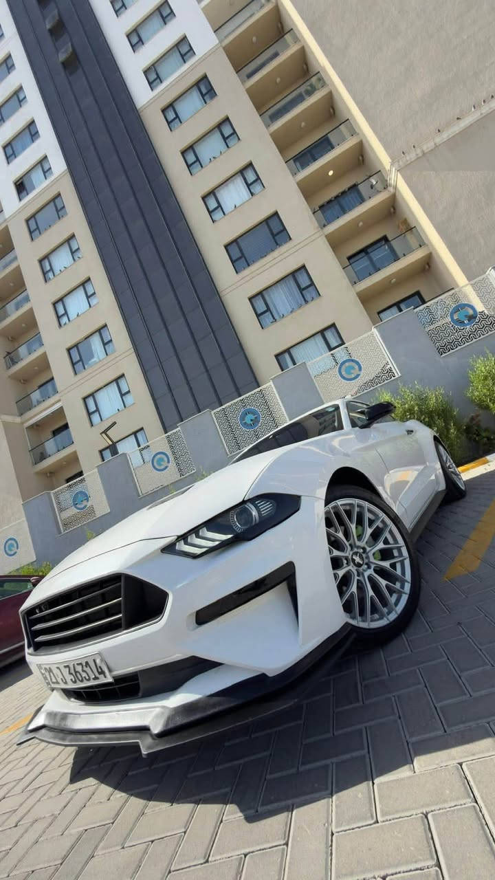 🚗 فورد موستنك EcoBoost Premium 2020
🔺مواصفات السيارة
▪️ محرك 2300 CC تيربو
▪️ كير 10 نمر
▪️ فئة Premium Black Edition
▪️ شاشة كبيرة (كاربلاي)
▪️ كاميرا خلفية
▪️ شفتات ستيرن
▪️ كشنات كهرباء
▪️ تدفئة وتبريد الكشنات
▪️ مرايا هيتر
▪️ تشغيل عن بعد
▪️ تنزيل الجامات عن بعد
▪️ حساسات خلفية
▪️ 5 وضعيات قيادة
▪️ 3 وضعيات ستيرن
▪️ إنارة داخلية متعددة الألوان
🔺 معلومات السيارة
▪️ رقم السليمانية
▪️ تحويل مباشر
▪️ ماشية 123 ألف كم
▪️ كير ومكينة مكفولات
▪️ صدر أمامي وخلفي
▪️ تبريد ثلج
▪️ تخم تايرات جديد
🛠️ الضرر
▪️ حادث خفيف
▪️ قطعتين وربع صبغ فقط
    الجاملغ والبنيد وربع الجاملغ جهة السائق
للاستفسار: ***********
