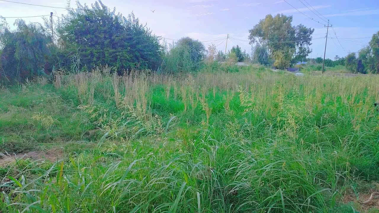 ١ دونم • منزل ٢٠٠م • العزيزيه الدير