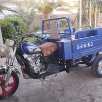 ستوته ام طير • ٢٠٢١ • اوراق اصوليه