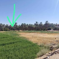 حديثة الأنبار • ٤٠٠م • طابو زراعي