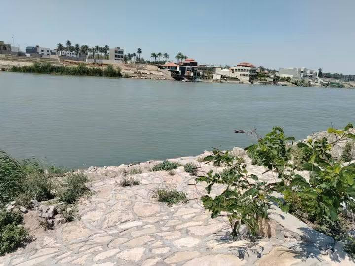 للبيع 
مزرعة شاطية دونم الواجهة 16 النزال 170 واجهة الشط حجر  الزعفرانية نهاية زراعي بيت بنية سعرها 300مليون بيها مجال 
 للاستفسار ***********
