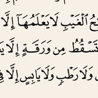 واسط قرب سيطرة الج • ٢٠٠م • ماء وكهرباء