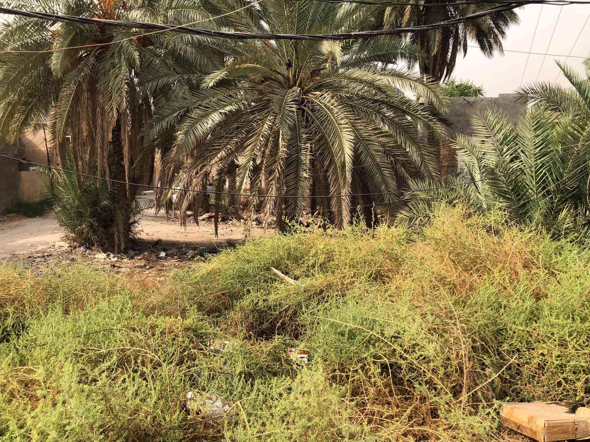 وقف • واجهة ١٤م • ٢٨٠م