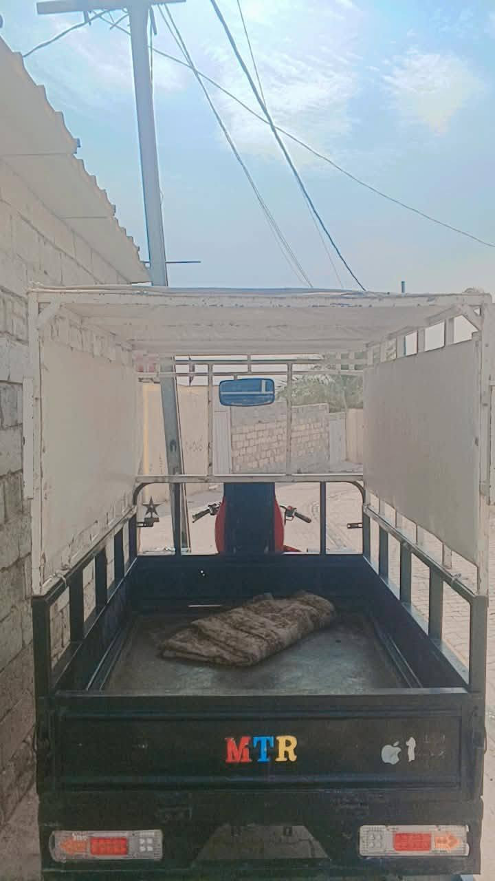 محجر • نضيف • فول