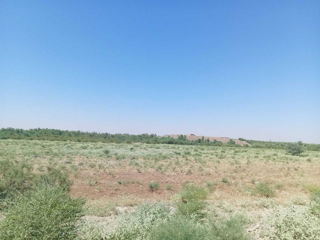 السلام عليكم للبيع ارض زراعيه مال معامل حصو ورمل وكساره بيهه مواد درجه أوله الرقم *********** محافظة صلاح الدين تكريت ناحيه البوعجيل الاستفسار
