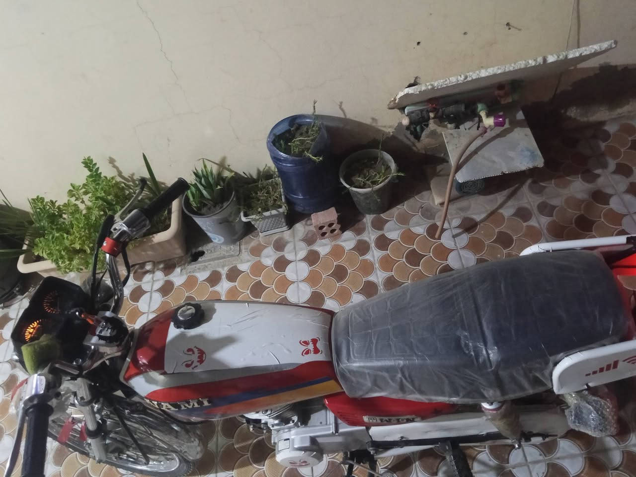 دراجه للبيع نامه امتياز موديل26 دراجه نضيفه خير من الله ما ناقصه اي شي اوراق كرتونيا السعر650اوبيه مجال قليل 
خاص ما متواجد رقم ***********
