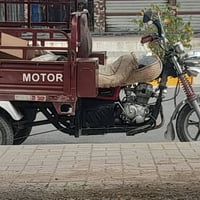 موديل ٢١ • شغاله • شاصيه مكفوله