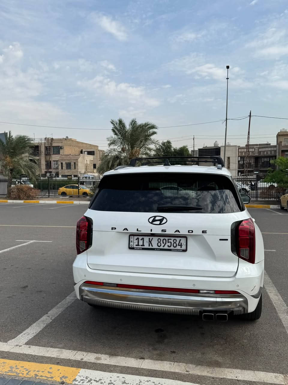 باليسايد • كاليجرافي • ٢٠٢٤