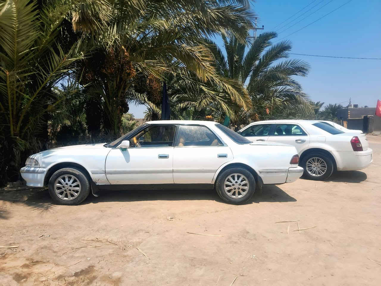 سلام عليكم مارك مسطره جاهزه مكينه وكير ونجي لا تنقيص ولا تبخير مكفوله كصه وضربه رقم مشروع وطني السعر 29 مكان ذي قار الغراف مكلف بل ‏‪***********‬‏ متواجد فيس بوك
