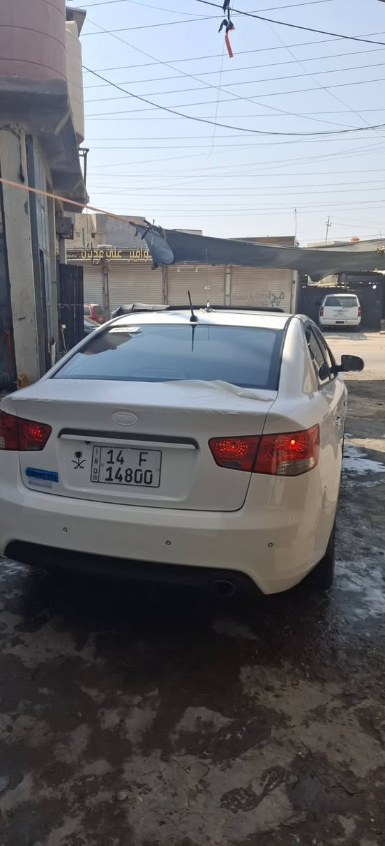 سيراتو خليجيه • ٢٠١٣ • بصرة