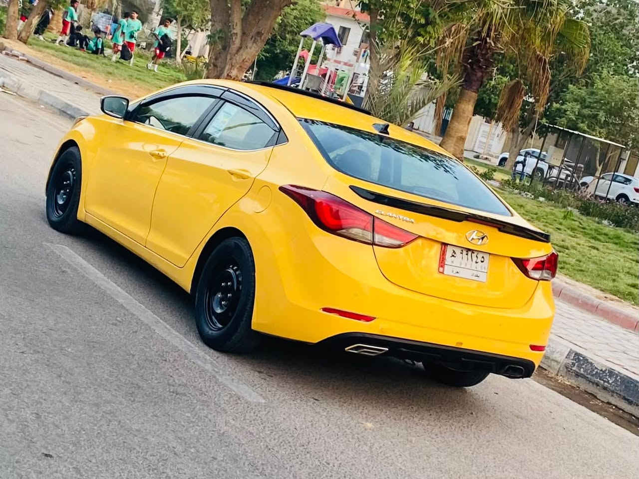 النترا • ٢٠١٥ • وراد امريكي