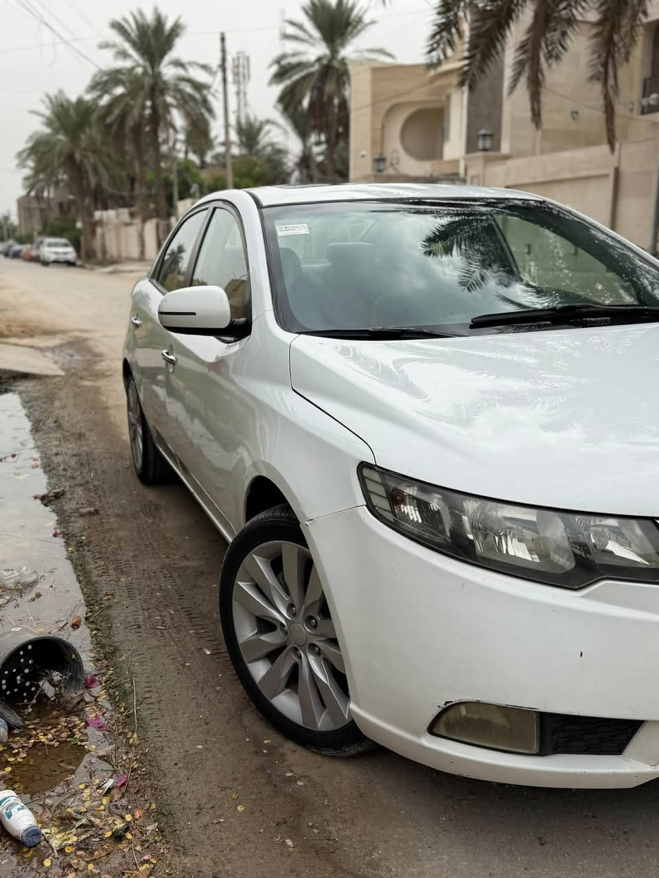 سيراتو • ٢٠١٢ • نمر اربيل