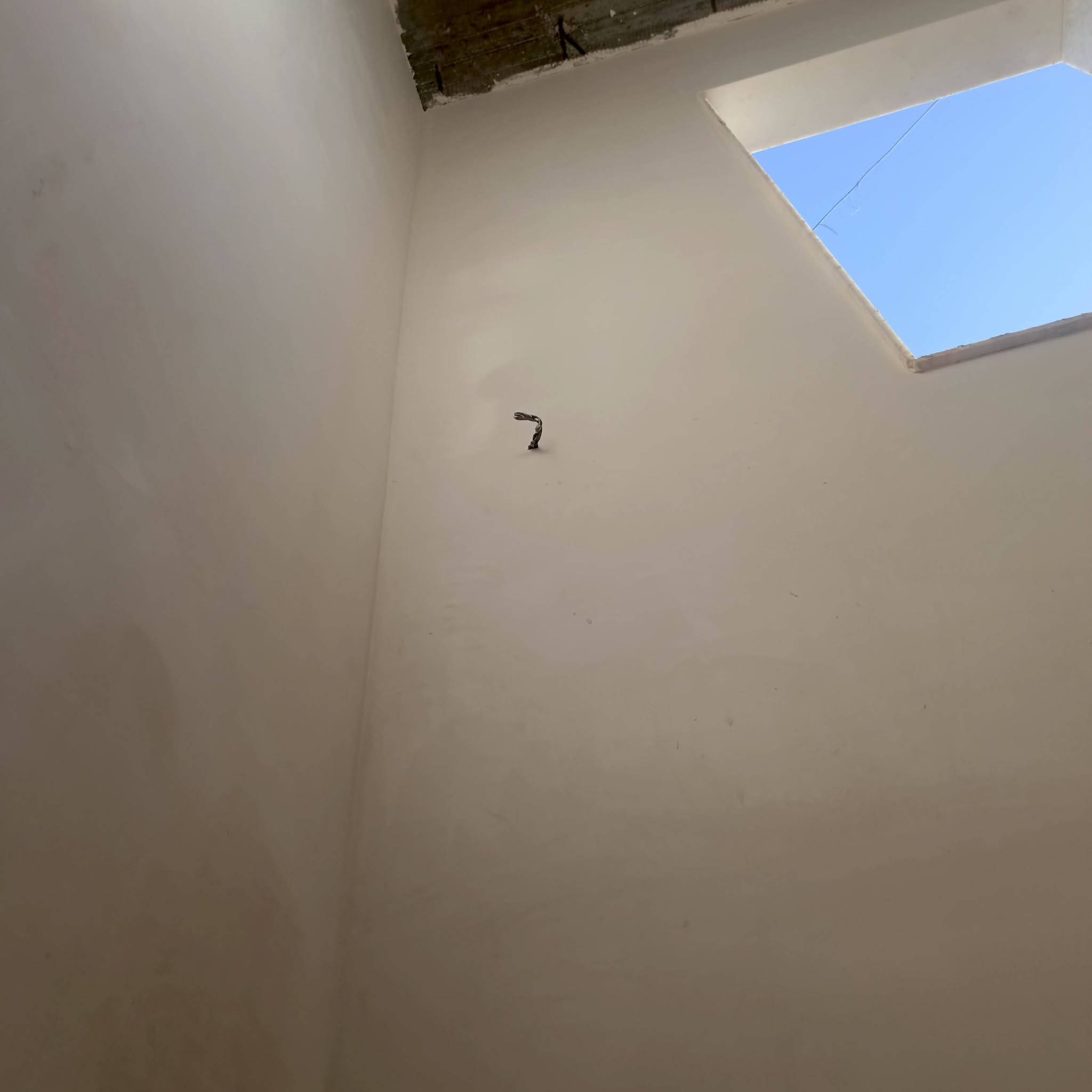 اعمل بجهد ودع عملك يتحدث👌
كادر لبخ جص بسرعه وتقنيه عاليه ☀

البيت يطول ثلاث ايام اسعار مناسبه🌿   الهاتف مفتوح 👇

ع مدار 24ساعة                             ‏‪***********‬‏

