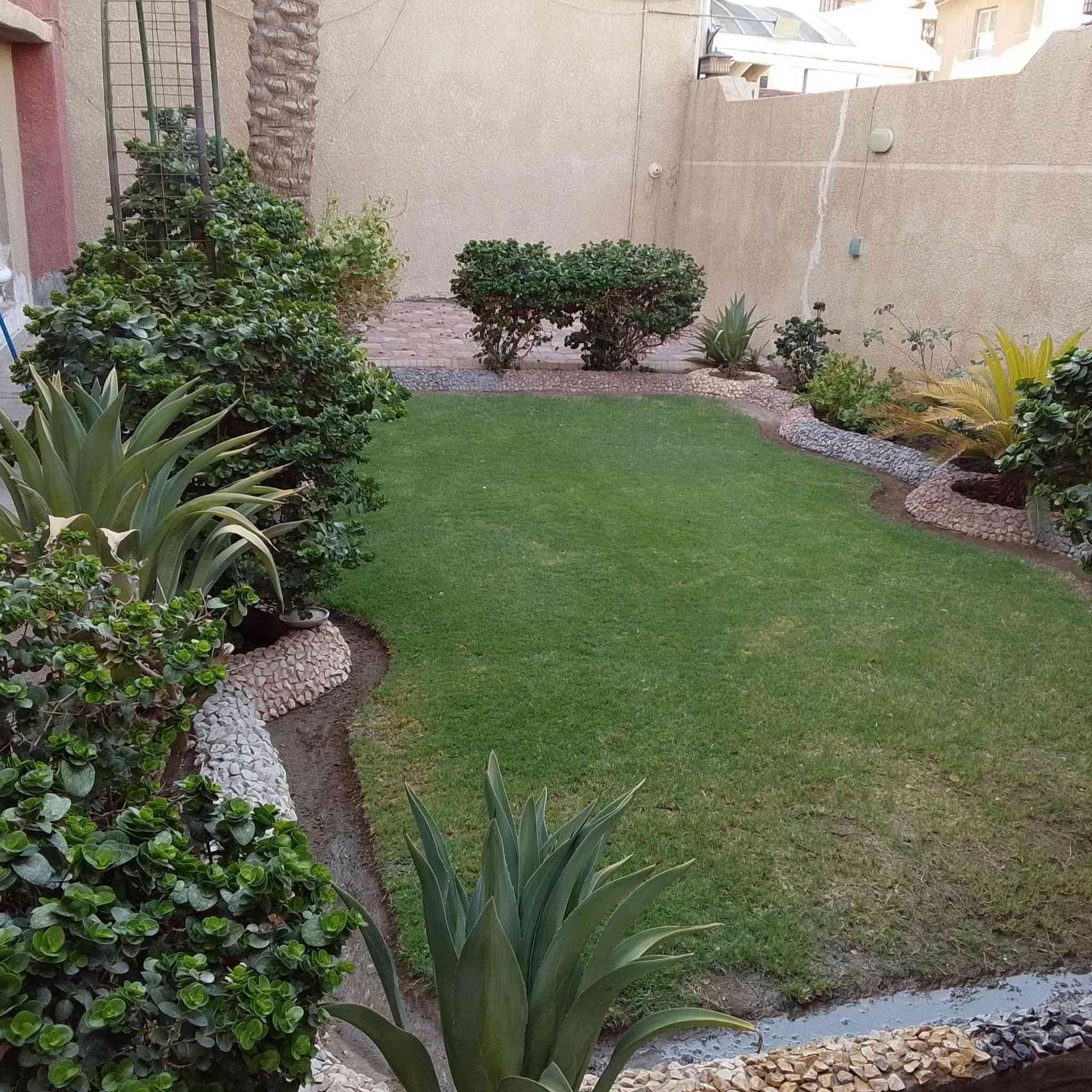 ترتيب حدائق • ديكورات حدائق • داخل الطيفيه