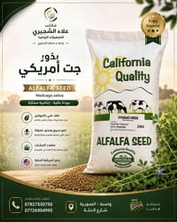 بذور جت أمريكي • DYNAMO VERDE • ٢٥كغم