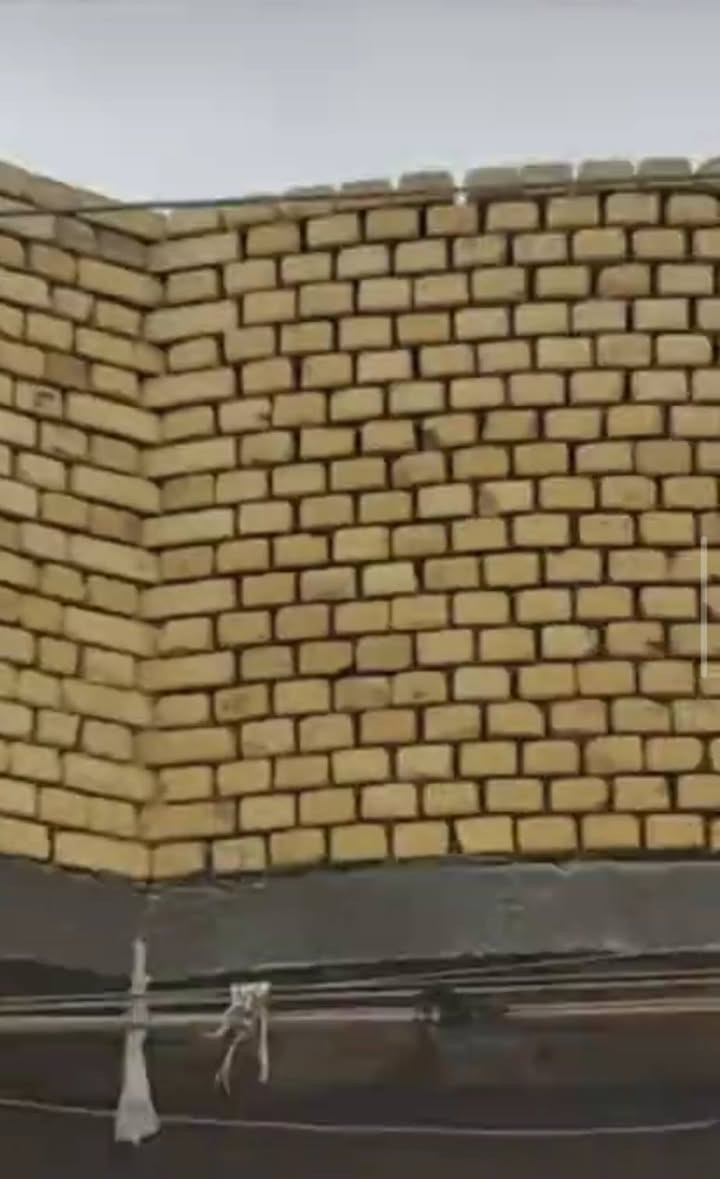 خلفه بناء • باحث عن شغل • ناصرية