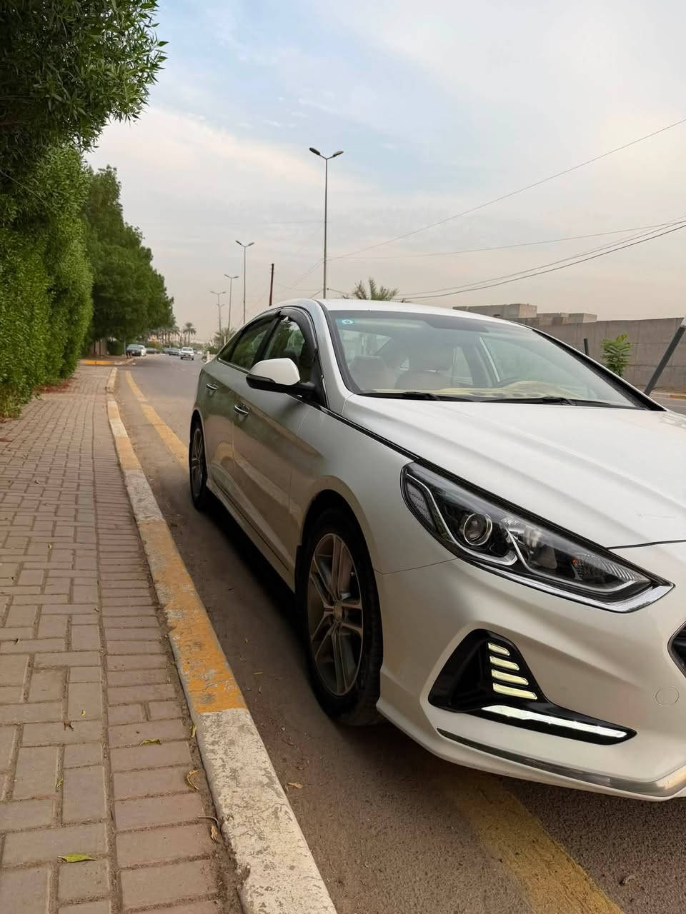 سوناتا ٢٠١٩ • خليجية • كشنات جلد