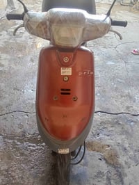 بطة • جاهزة • معدل٣٢٥