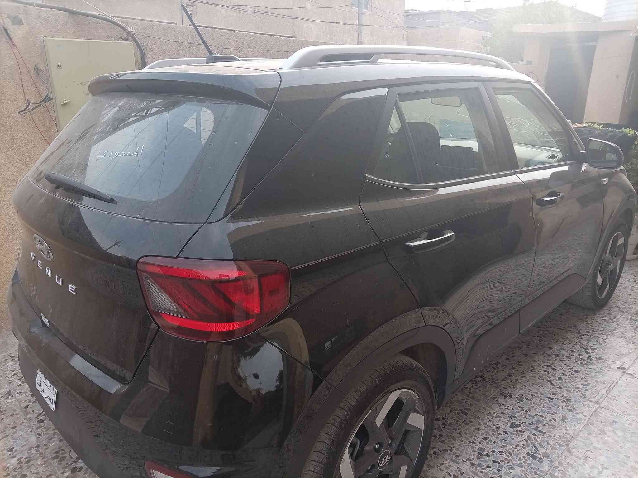 فينو • ٢٠٢٥ • الدورة
