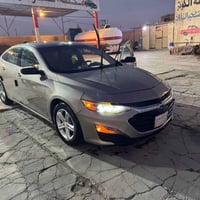 ماليبو • ٢٠٢٢ • رقم بصره معوقين