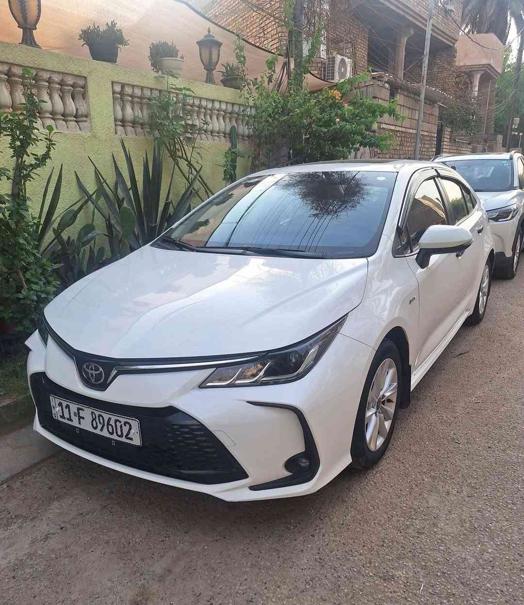 كورلا هايبرد • ٢٠٢٥ • رقم بغداد